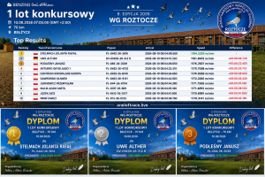 1 lot konkursowy-podsumowanie